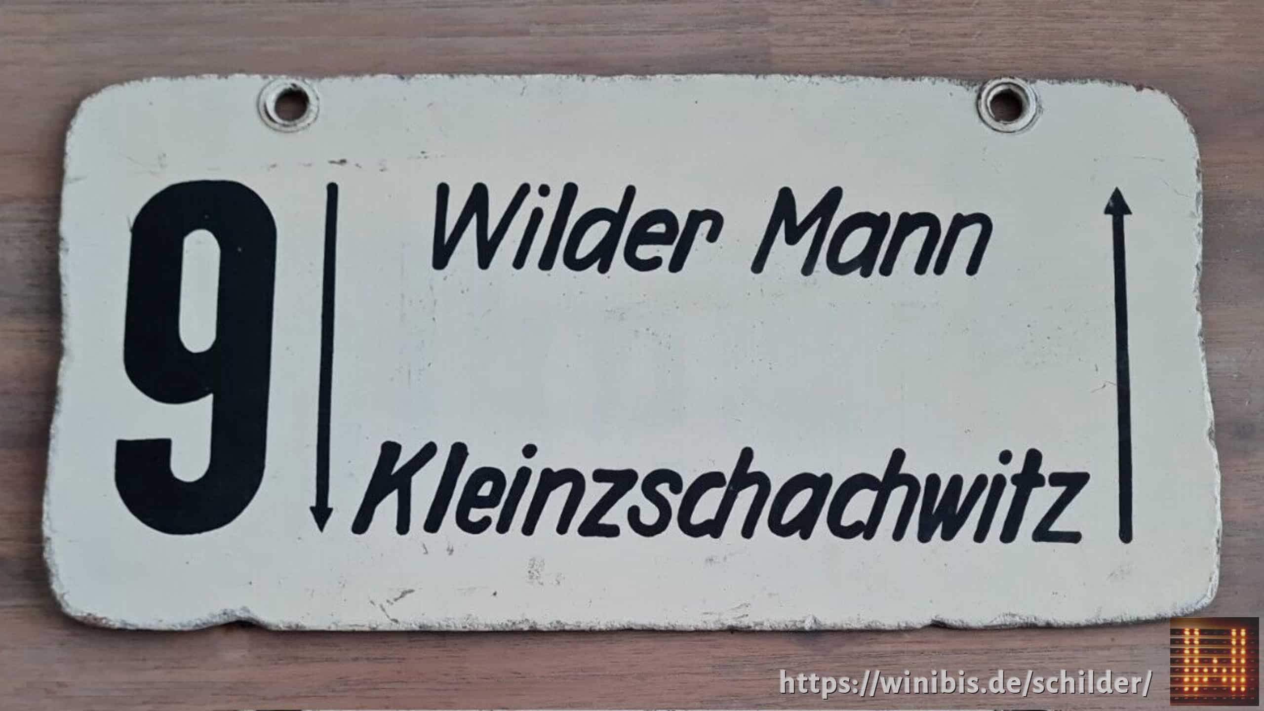 9 Wilder Mann – Kleinzschachwitz #1