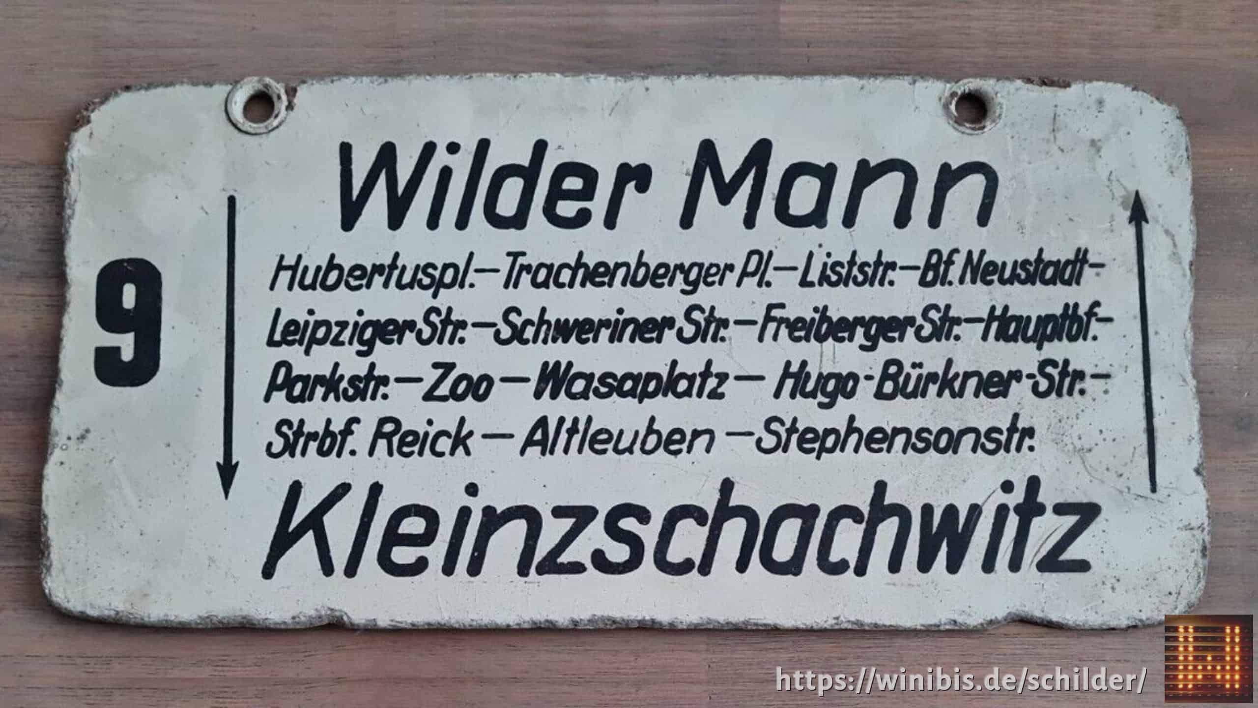 9 Wilder Mann – Kleinzschachwitz #2